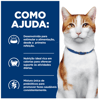 Hill'S Prescription Diet Onc Care - Para Gatos - 1 Lata De 82G - 1 Unidade