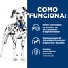 Hill'S Prescription Diet U/D Cuidado Urinário Para Cães Adultos - 3,8Kg