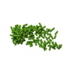 Isca Formicida Rainha Verde-S Tecnocell 500G - 1 Unidade
