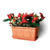 Jardineira Plástica Nutriplan Romano Cerâmica 35Cm - 1 Unidade - 35 Centímetros