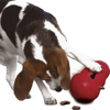 Kong Wobbler Brinquedo Dispenser Para Ração Ou Petisco Para Pets - Vermelho P - 1 Unidade