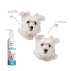 Limpa Lágrimas Pet Clean 100Ml
