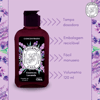 Limpador Concentrado De Superfícies Giorno Casa Lavanda 120Ml - 1 Unidade