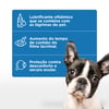 Lubrificante Oftálmico Vetfresh Soft Care 10Ml - 1 Unidade
