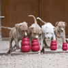 Mordedor Dispenser Petisco Vermelho Para Cães Kong Classic G - 1 Unidade