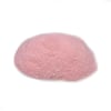Néctar Para Beija-Flor Pássaro Forte 250G - 1 Unidade