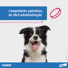 Onsior Anti-Inflamatório Para Cães 10 A 20Kg - 7 Comprimidos