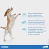 Onsior Anti-Inflamatório Para Cães 10 A 20Kg - 7 Comprimidos