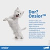 Onsior Anti-Inflamatório Para Cães 10 A 20Kg - 7 Comprimidos