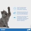 Onsior Anti-Inflamatório Para Gatos - 6 Comprimidos
