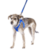 Peitoral Athletic Fit Doco Azul Para Cães Pp - 1 Unidade