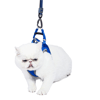 Peitoral Athletic Fit Doco Azul Para Cães Pp - 1 Unidade