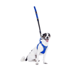 Peitoral Athletic Fit Doco Azul Para Cães Pp - 1 Unidade