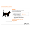 Peitoral E Guia Tchucco Cat New Sunny Único - 1 Unidade