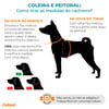 Peitoral Signature Doco Verde P Para Cachorros