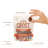 Petisco Cães Origem Natural Crost Crostine Frutas 100G