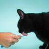 Petisco Cremoso Churu Atum E Salmão Para Gatos - 56G