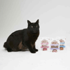 Petisco Gatos Origem Natural Crost Filezinho De Salmão 20G