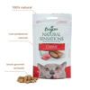 Petisco Natural Sensations Carne Para Gatos - 40G