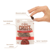 Petisco Origem Natural Crost Filezinho Bovino Para Gatos - 20G