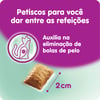 Petisco Whiskas Temptations Anti Bola De Pelo Para Gatos Adultos - 40G