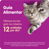 Petisco Whiskas Temptations Pelo Saudável Para Gatos Adultos 40G
