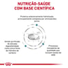 Ração Anallergenic Royal Canin Para Gatos Adultos - 2,5Kg