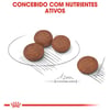 Ração Cuidado Digestivo Royal Canin Adulto Mini - 2,5Kg - 1 Kilo