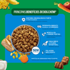 Ração Dog Chow Carne, Frango E Arroz Para Cães Filhotes Médios E Grandes - 10,1Kg - 10,1 Kilos