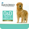 Ração Equilíbrio Veterinary Para Cães Obesidade E Diabete - 2Kg