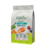 Ração Grain Free Guabi Natural Salmão E Lentilha Para Gatos Castrados - 7,5Kg - 7,5 Kilos