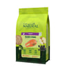Ração Guabi Natural Para Gatos Adultos Sabor Salmão E Cevada - 1,5Kg - 1,5 Kilos