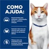 Ração Hill'S Prescription Diet Onc Care Para Gatos - 3,17Kg