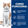 Ração Hill'S Prescription Diet Onc Care Para Gatos - 3,17Kg