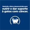 Ração Hill'S Prescription Diet Onc Care Para Gatos - 3,17Kg