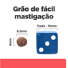 Ração Hill'S Prescription Diet Onc Care Para Gatos - 3,17Kg