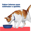 Ração Hill'S Prescription Diet Onc Care Para Gatos - 3,17Kg