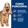 Ração Hill'S Z/D Para Cães Adultos Sensíveis - 3,63Kg