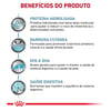Ração Hypoallergenic Royal Canin Para Gatos Adultos - 1,5Kg Ou 4Kg - 1,5 Kilos