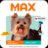 Ração Max Carne E Arroz Para Cães Adultos De Raças Pequenas - 3Kg - 1 Kilo