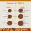 Ração N&D Ancestral Grain Frango Para Cães Filhotes De Raças Pequenas - 800G - 800 Gramas
