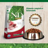 Ração N&D Grain Free Filhotes Raças Grandes Sabor Frango E Romã - 10,1Kg