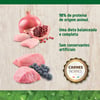 Ração N&D Prime Para Filhotes De Raças Pequenas Cordeiro E Blueberry - 800G - 800 Gramas
