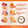 Ração N&D Pumpkin Cordeiro Para Cães Filhotes Raças Mini E Pequenas - 800G - 800 Gramas