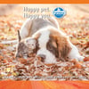 Ração N&D Pumpkin Cordeiro Para Cães Filhotes Raças Mini E Pequenas - 800G - 800 Gramas