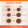 Ração N&D Pumpkin Cordeiro Para Cães Filhotes Raças Mini E Pequenas - 800G - 800 Gramas
