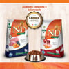 Ração N&D Pumpkin Para Cães Adultos De Raças Grandes Sabor Cordeiro - 10,1Kg