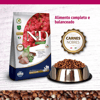 Ração N&D Quinoa Digestion Cordeiro Para Cães Adultos - 800G - 800 Gramas