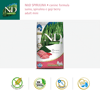 Ração N&D Spirulina Para Cães Adultos De Porte Mini Sabor Suíno - 2Kg - 2 Kilos