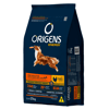 Ração Origens Energy Frango E Cereais Para Cães Adultos 15Kg